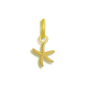 Starfish Bikini Charm
